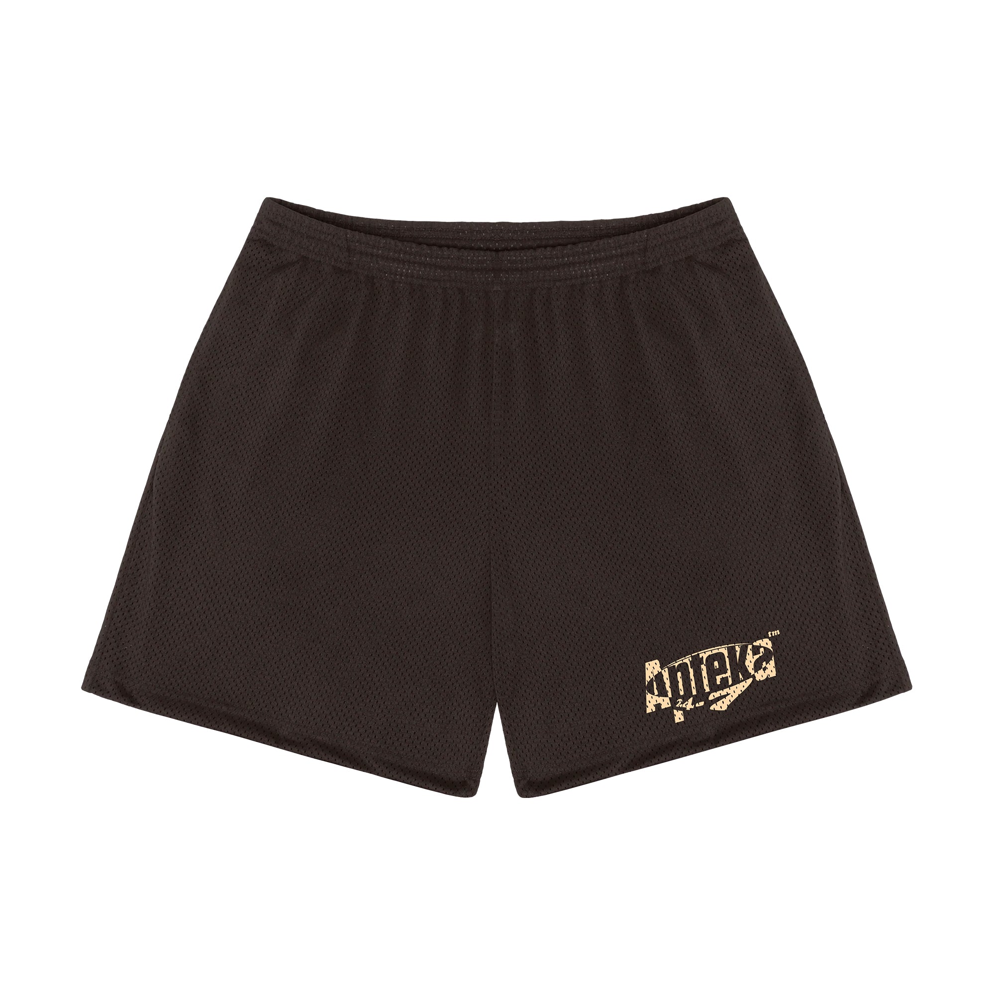 Apteka24x7 Logo Brown Mesh Shorts