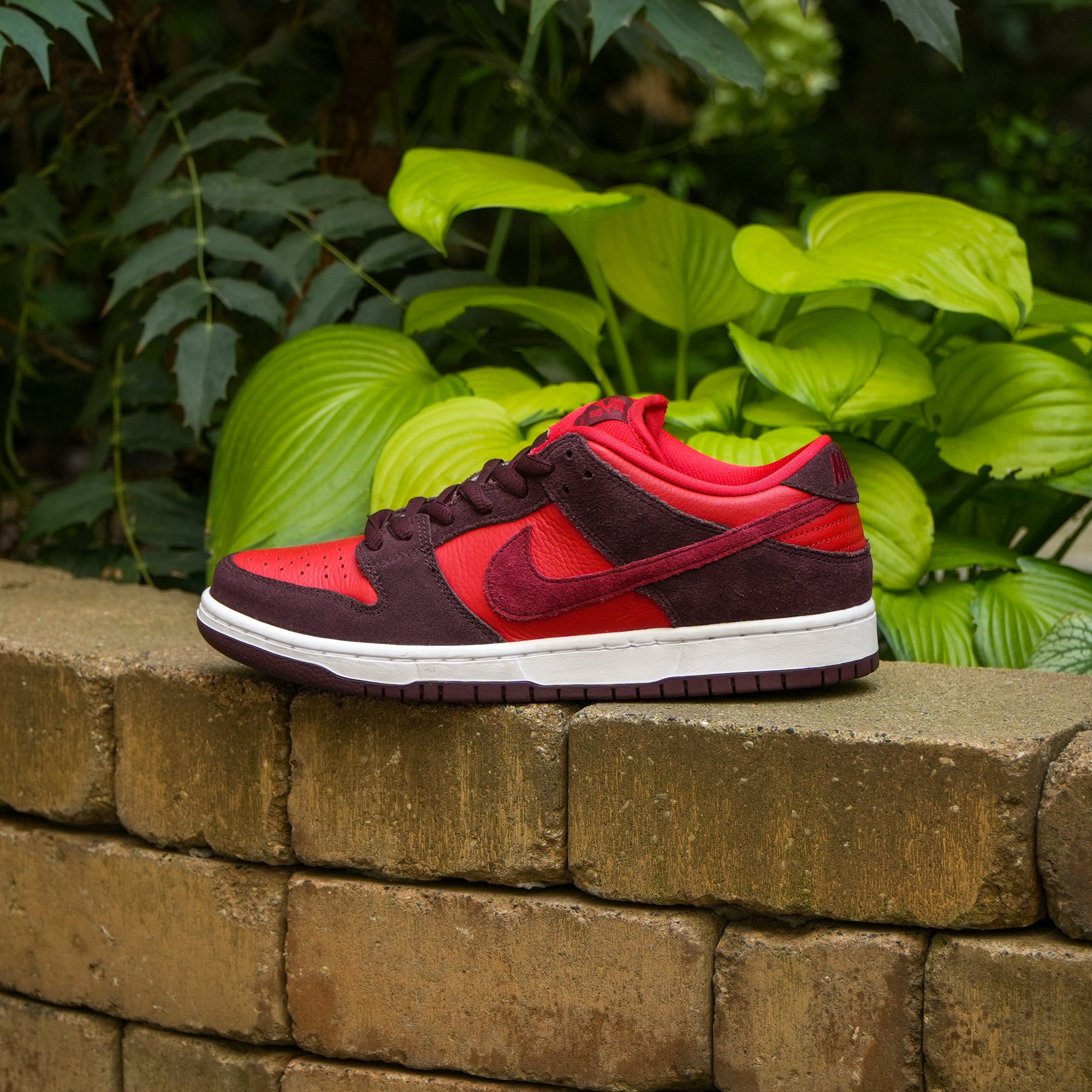 Nike SB Dunk "Low Cherry"